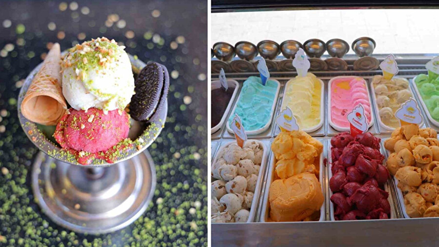 Alpedo hakkındaki iddialar asılsız çıktı