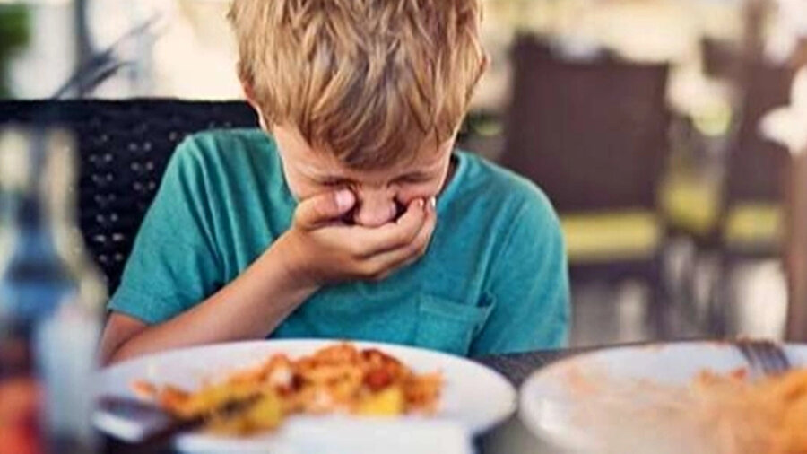 Türkiye'de Peş Peşe 6 Gıda Zehirlenmesi! 10 Günde 200’ü Aşkın Kişi Hastaneye Kaldırıldı: Neden Zehirlenmeler Oluyor?