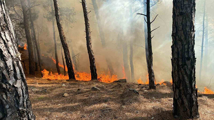 Yangın, çevrede olası risklere karşı hızlıca takip altına alındı ve ekiplerin çalışmaları sürüyor.