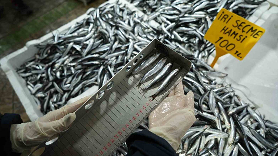 Balık tezgahlarında sıkı denetim