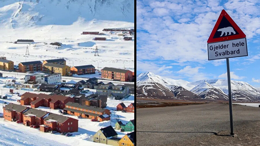 Svalbard hayali kuranlar dikkat