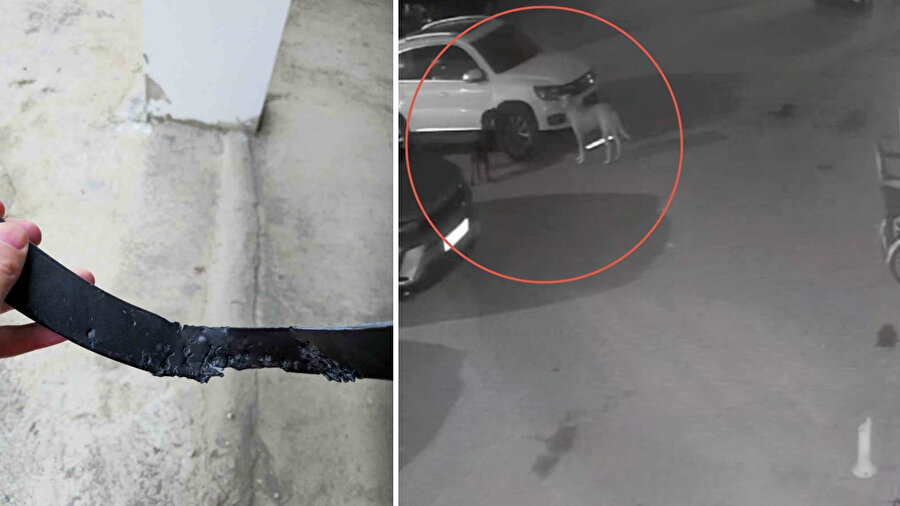 O anlar kameraya yansıdı