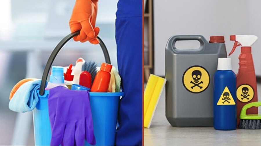 Bulgular ortaya koydu