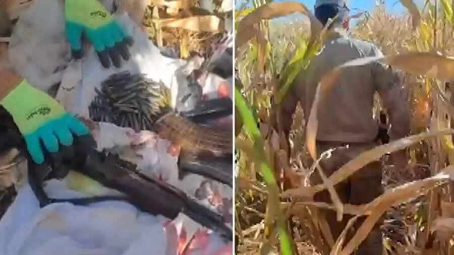 Mısır tarlasında patlayıcı madde ve silahlar ele geçirildi.