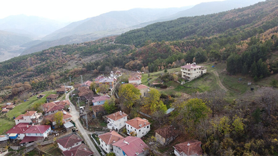 Çankırı'da mantar toplamak için evden ayrılan kadın, ormanda ölü bulundu