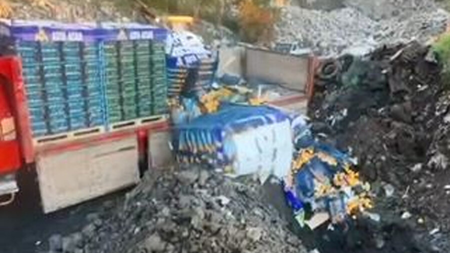 Artvin Sarp Sınır Kapısı’nda 6,1 ton mandalina imha edildi