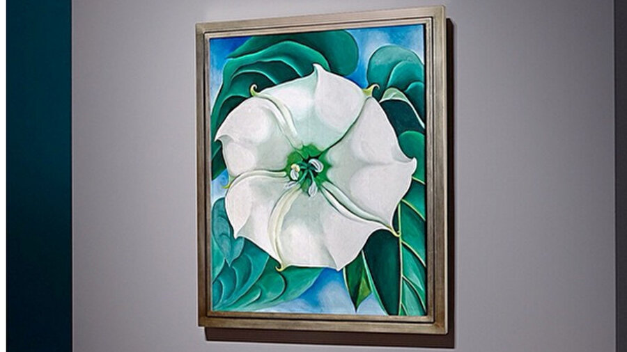 Jimson Weed/White Flower No.1