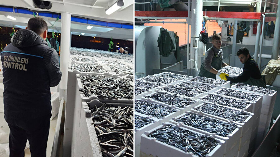 Tezgahlarda yüz güldüren sezon: Fiyatı 150 TL’den 50 TL’ye düştü