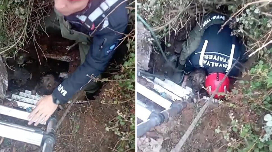 ​Antalya’da foseptik çukuruna düşen köpek itfaiye ekiplerinin hızlı müdahalesiyle kurtarıldı
