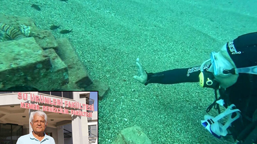 Suyun altında yeni dünya: Balıklara yaptıkları yuva 12 türü buluşturdu!