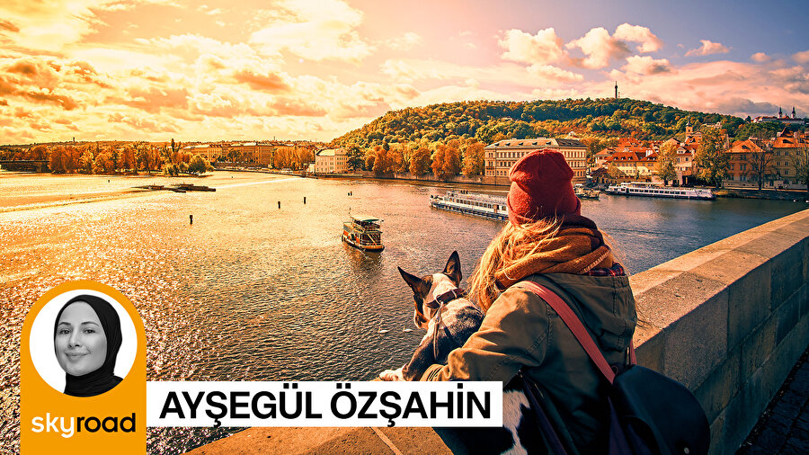 İtalya tartışıyor: Köpekler vergi mükellefi mi oluyor?