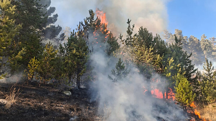 ​Erzurum’da orman yangını alarmı: Üç noktada yangın, biri devam ediyor