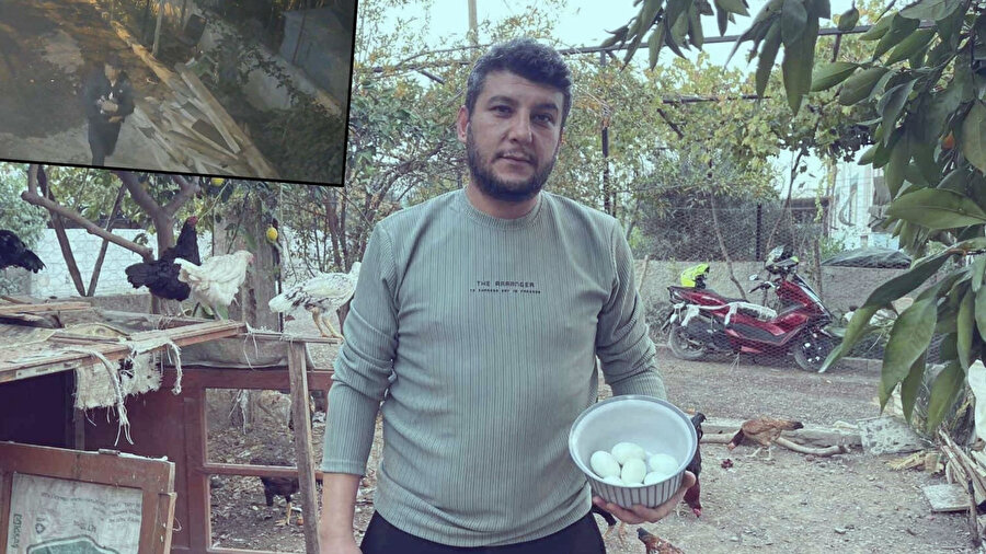 Rahat tavırları pes dedirtti: Mavi yumurtlayan 5 tavuğu tişörtün içerisine koyarak çaldı