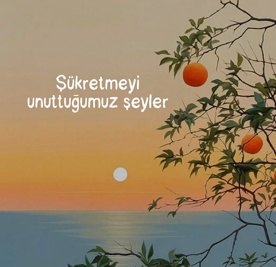 Şükretmeyi unuttuğumuz şeyler