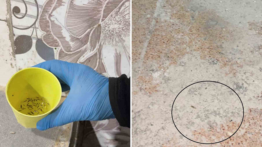 Fırın denetiminde skandal