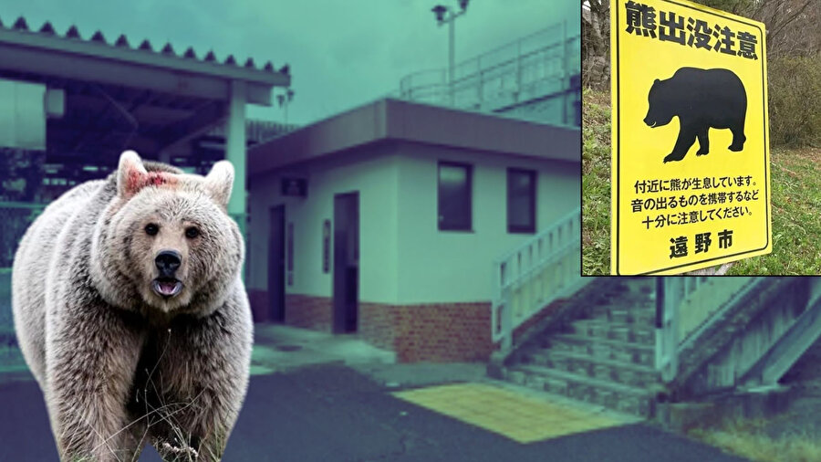 Yaşlı adama ayı saldırdı