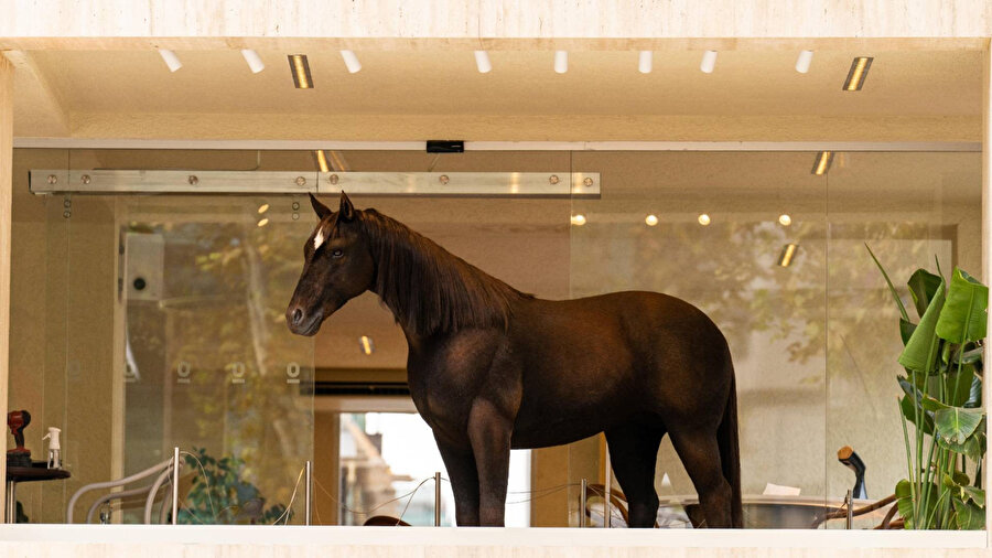 Espressolab, Jurassic Park teknolojisini şehirle buluşturdu.