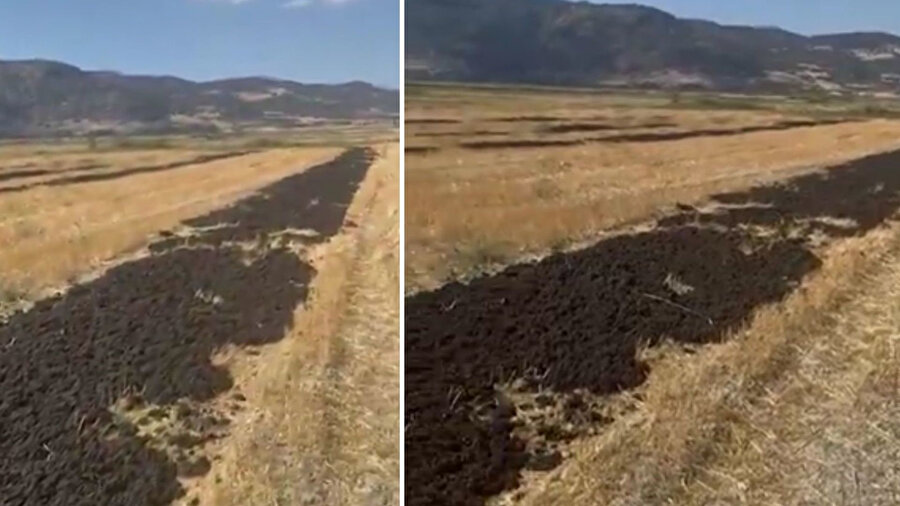 Burdur’da araziye arıtma çamuru döken firmaya ceza