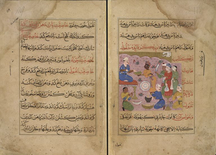 Nimetnâme-i Nâsırüddîn Şâhî