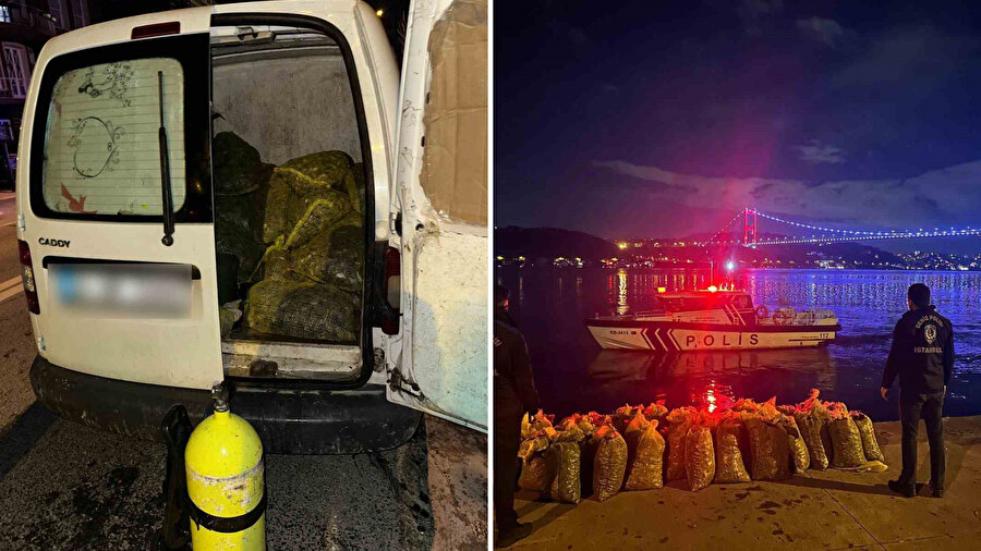 ​İstanbul’da yasak bölgede toplanan 2,3 ton midyeye el konuldu