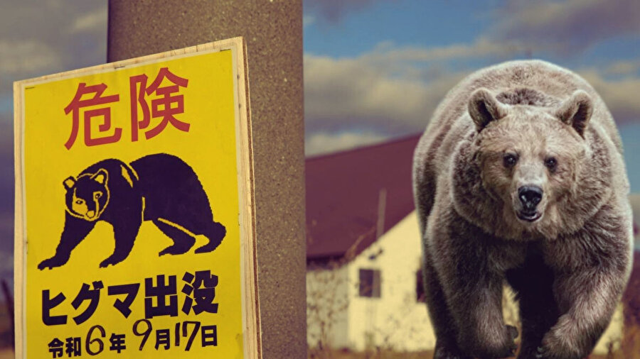 Turizm işletmelerine ayı sigortası hizmeti