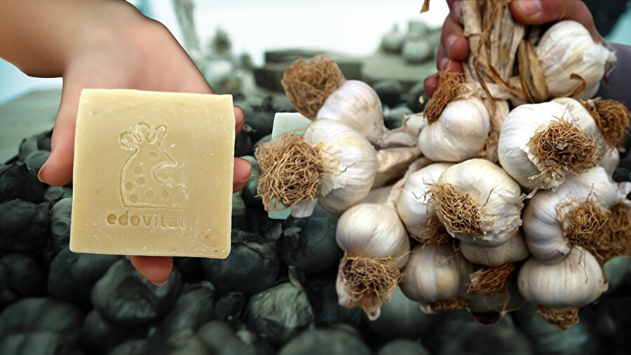 Sırrı yıllar sonra çözüldü | Bu bildiğimiz sarımsak değil: Yeni ürün Türkiye’nin dört yanına gidiyor