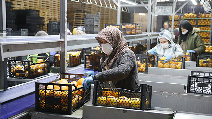 25 ülkeye ihracat yapıyorlardı: Türkiye'nin dev firması iflas etti