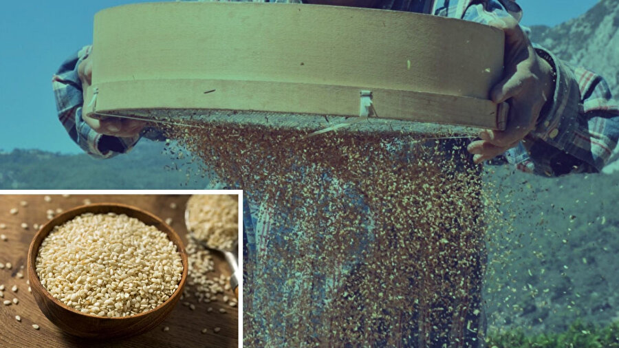 Mutfağınızdaki gizli tehlike: Meğer en riskli alerjen oymuş, böbrek taşının tetikleyicisi!