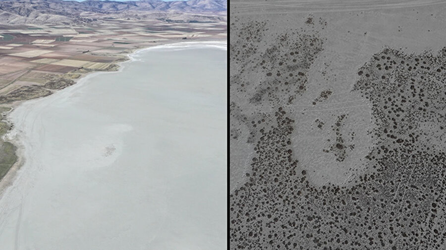 Kuş cenneti çöle döndü: Kırşehir'de Seyfe Gölü tamamen kurudu