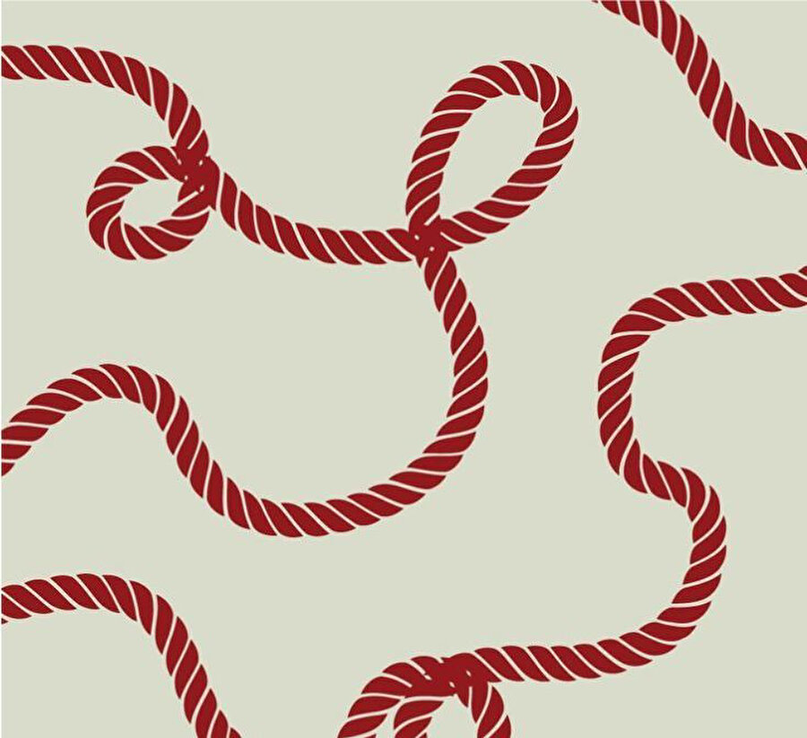 Duygular sözlüğü: Mamihlapinatapaı