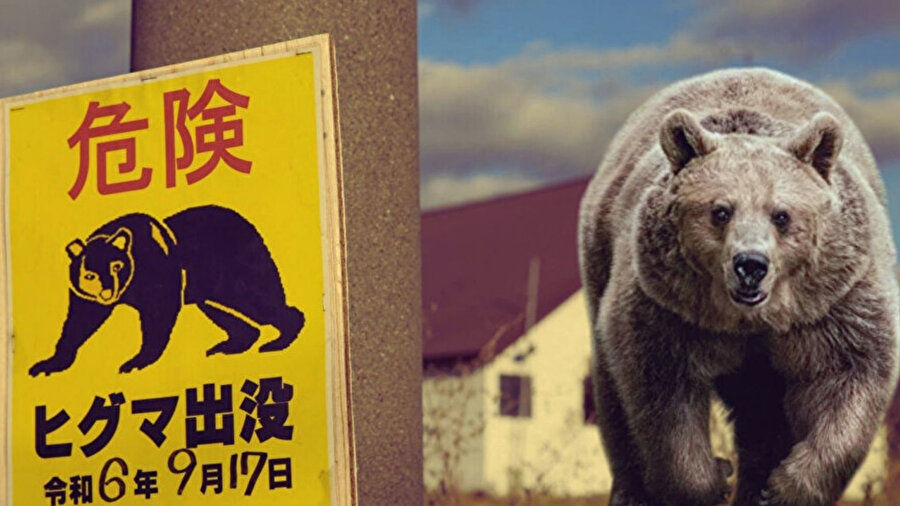 Japonya’da ayı saldırılarının sayısı 230’a ulaştı