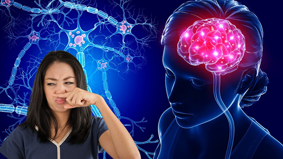 Koku duyunuzu kaybediyorsanız dikkat! 100’ü aşkın hastalık bu belirtiyle başlıyor