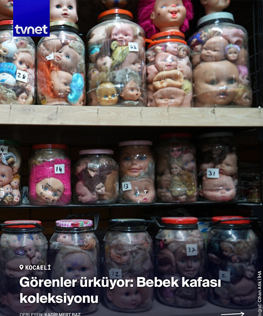 Tam 5 bin oyuncak bebek kafası topladı