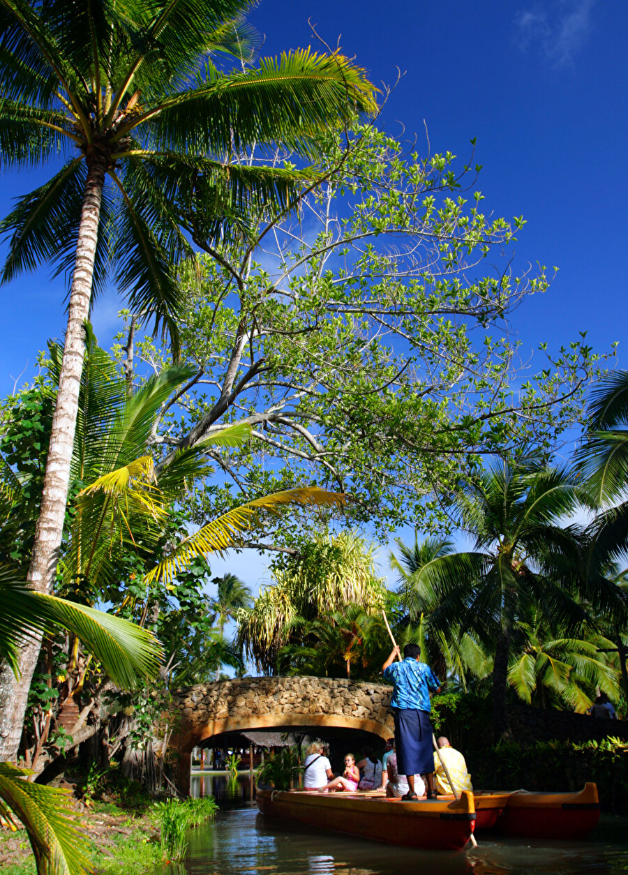 Quietcations’ın yeni yüzü