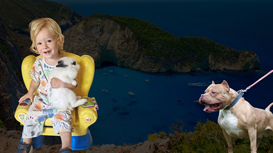 Pitbull saniyeler içinde dehşet saçtı: 2 yaşındaki çocuk hayatını kaybetti