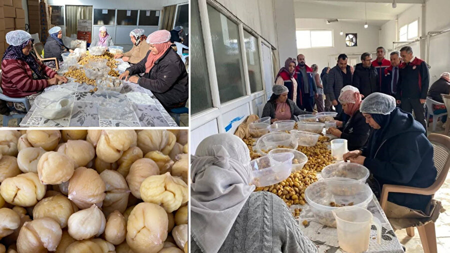 Türkiye’nin yüzde 33’ünü karşılayan Aydın Kestanesi, ihracata hazırlanıyor.