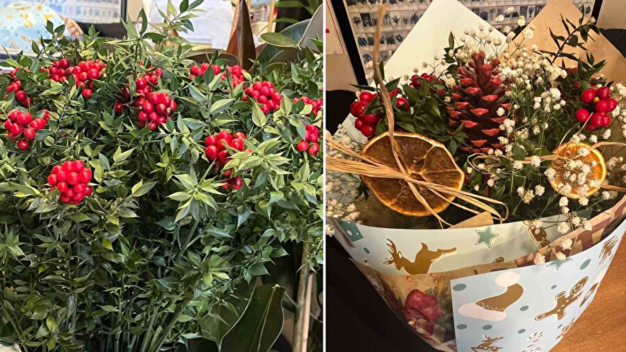 Yeni yılın gözdesi: Kokina çiçeği vitrinleri süslüyor! Aralık ayında yok satıyor...