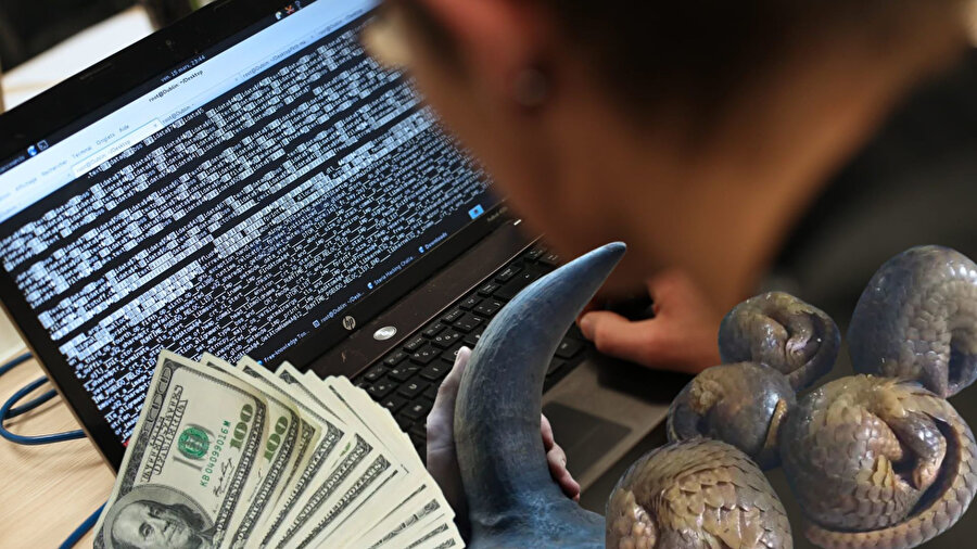 Kilosu 50 dolar! Facebook’ta yasaklı tür ticareti artıyor: Interpol harekete geçti