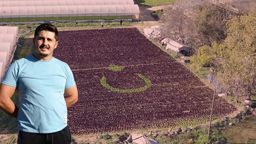Vatan aşkını tarlaya ektiler: Antalya'da çiftçiler 13 bin marulla Türk bayrağı deseni oluşturdu