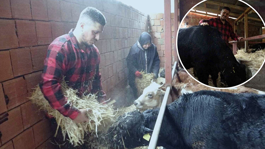 Gurbetten sılaya cesur dönüş: 'Almanya’da robot olacağıma memleketimde çoban olurum'