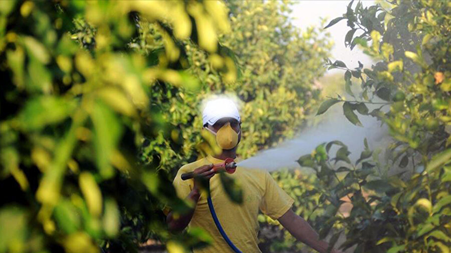 Milyonlarca çiftçiyi ilgilendiriyor! Bakan Yumaklı duyurdu: B-Reçete Sistemi Ocak 2026’da başlıyor, pilot iller açıklandı