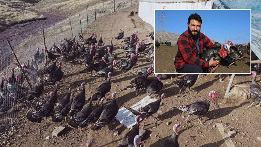 Gurbet bitti, bereket başladı: Almanya'dan dönüp Elazığ’da 'hindi imparatorluğu' kurdu!