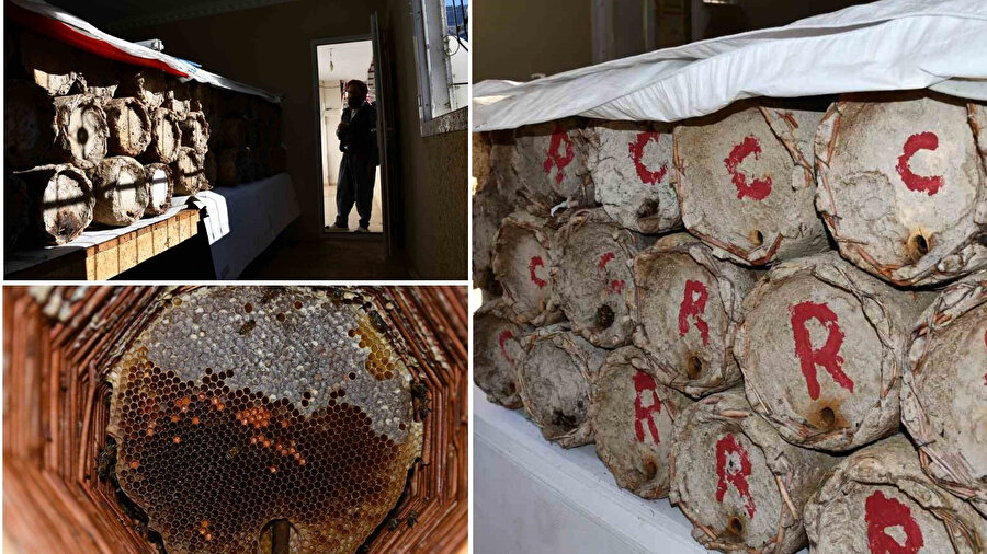 Misafir odası arılara tahsis! Şırnaklı üretici, kilosu 10 bin TL'lik balı korumak için evi kışlağa çevirdi