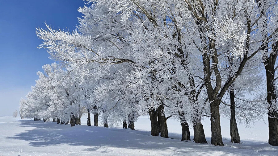 Zemheri ne zaman, hangi tarihlerde? İşte 2025-2026 Zemheri başlangıç ve bitiş tarihi