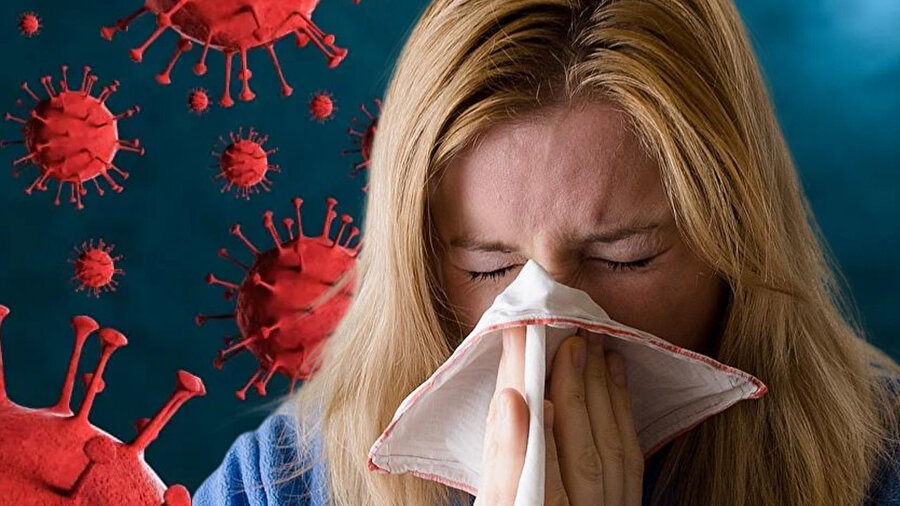 H3N2 virüsü Türkiye'ye giriş yaptı