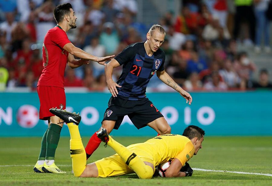 Domagoj Vida