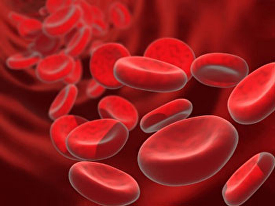 Kan üretir
Kemik iliği saniyede yaklaşık olarak 2.4 milyon alyuvar (kırmızı kan hücresi) üretir.