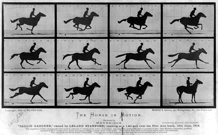 İlk hareketli fotoğraf
İlk hareketli fotoğraf 1878 yılında Eadweard Muybridge tarafından çekilmiştir. Bu fotoğraflardan sonra atların koşarken aynı anda 4 ayağının havada olmadığı kanıtlanmıştır.