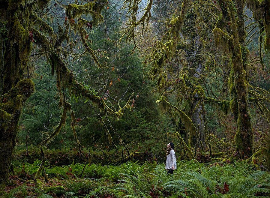 Olympic National Park'ta çekilmiş bir fotoğraf

                                    
                                    
                                
                                