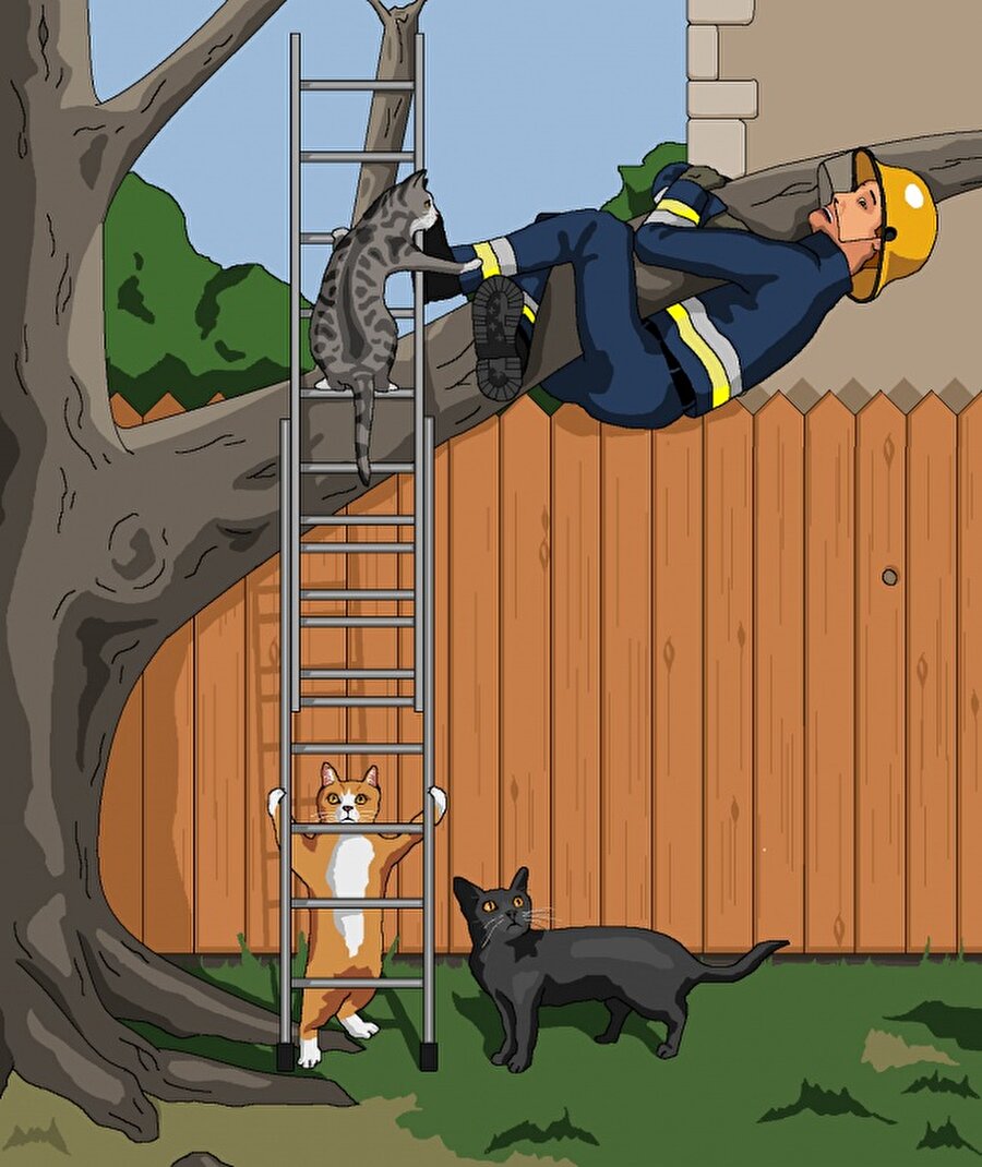 Kediler ağaçta kalan insanı kurtarıyor
